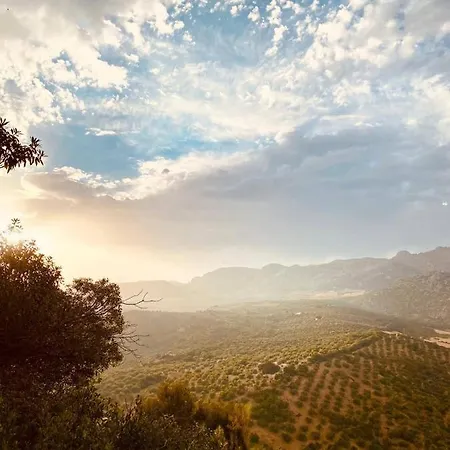Cortijo Sylvestre *